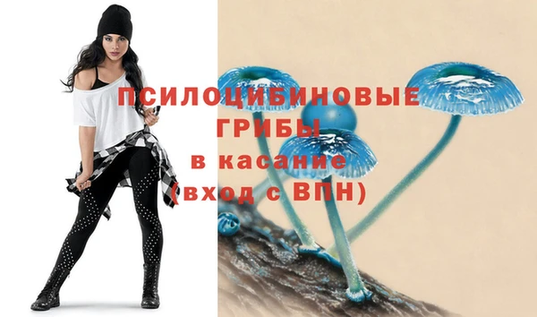 дурь Беломорск