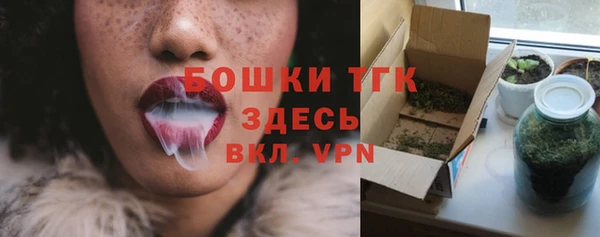 mix Белокуриха