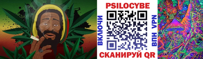 Галлюциногенные грибы Psilocybine cubensis Нестеровская