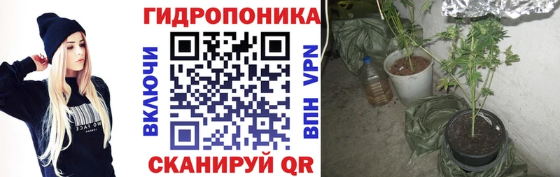 Конопля Ganja  kraken вход  даркнет телеграм  Нестеровская 